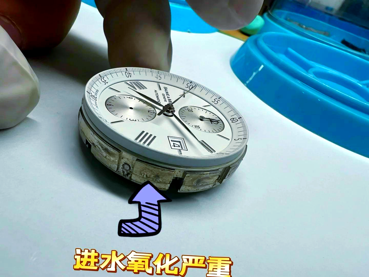 名士手表需要保养吗多少钱