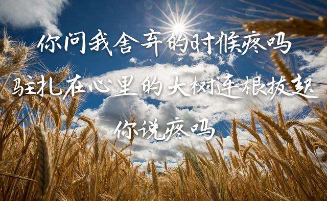 歌词里有句如果你不爱我就放开我的出处是什么歌