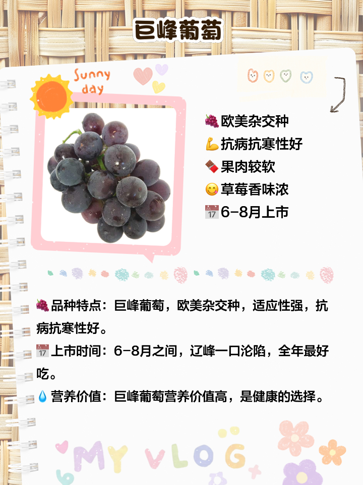 全国十大名牌葡萄品种