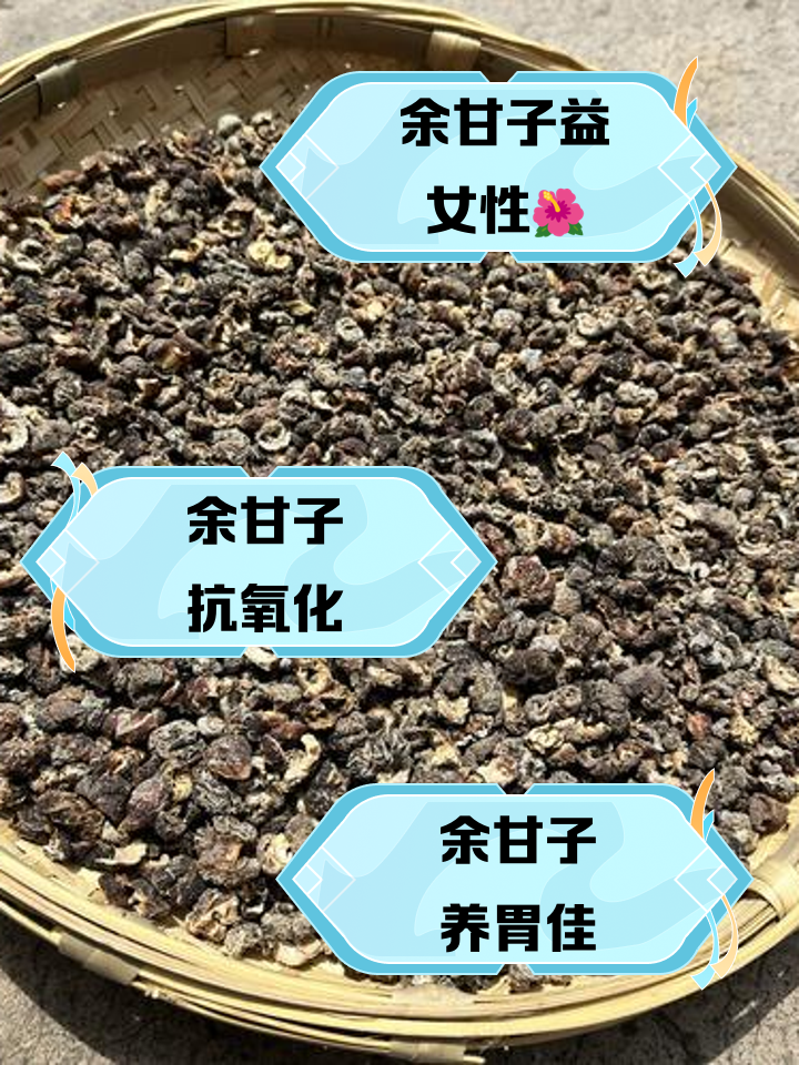 余甘子的营养价值与特殊疗效