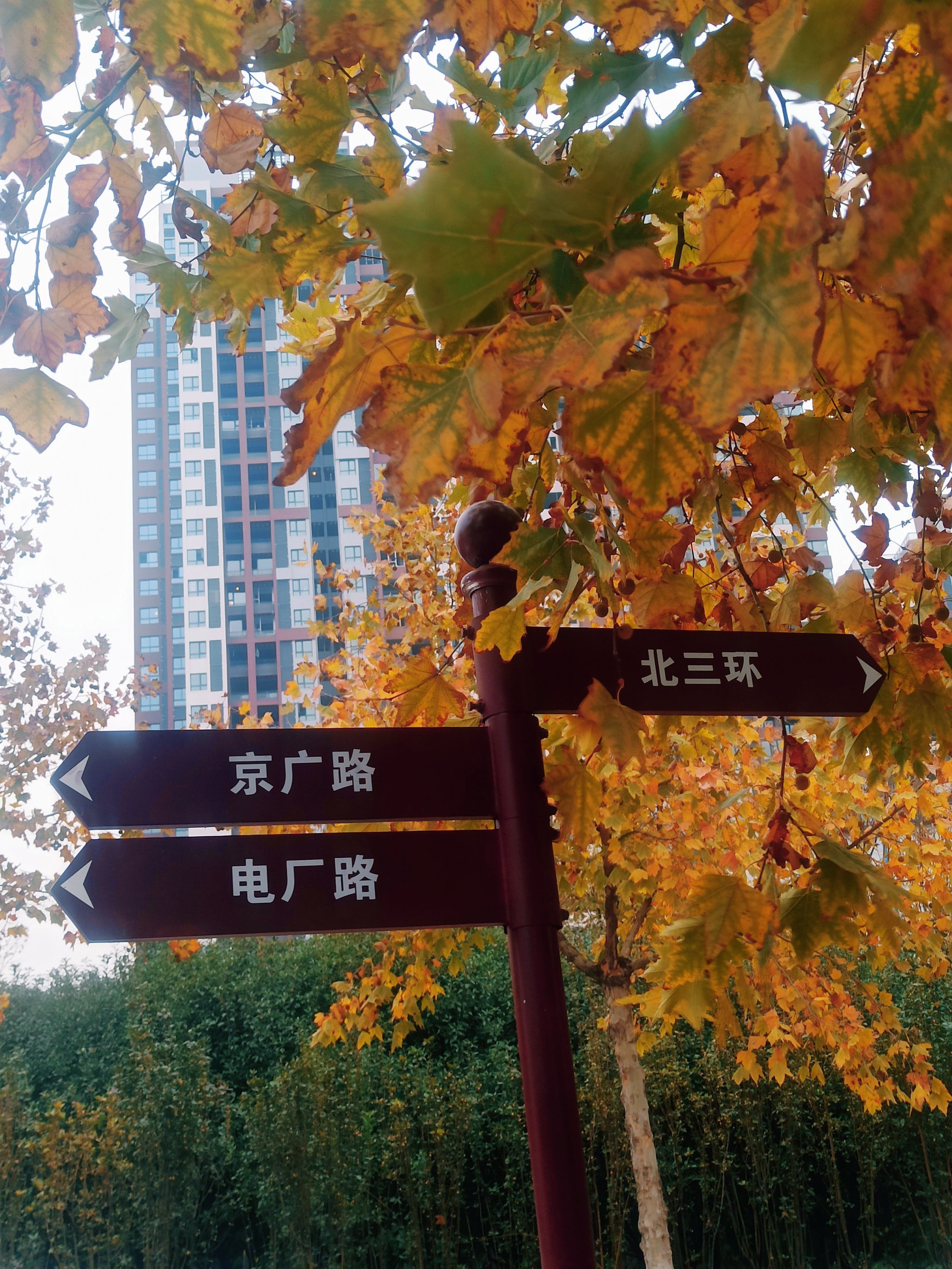 南阳寨站有地铁吗