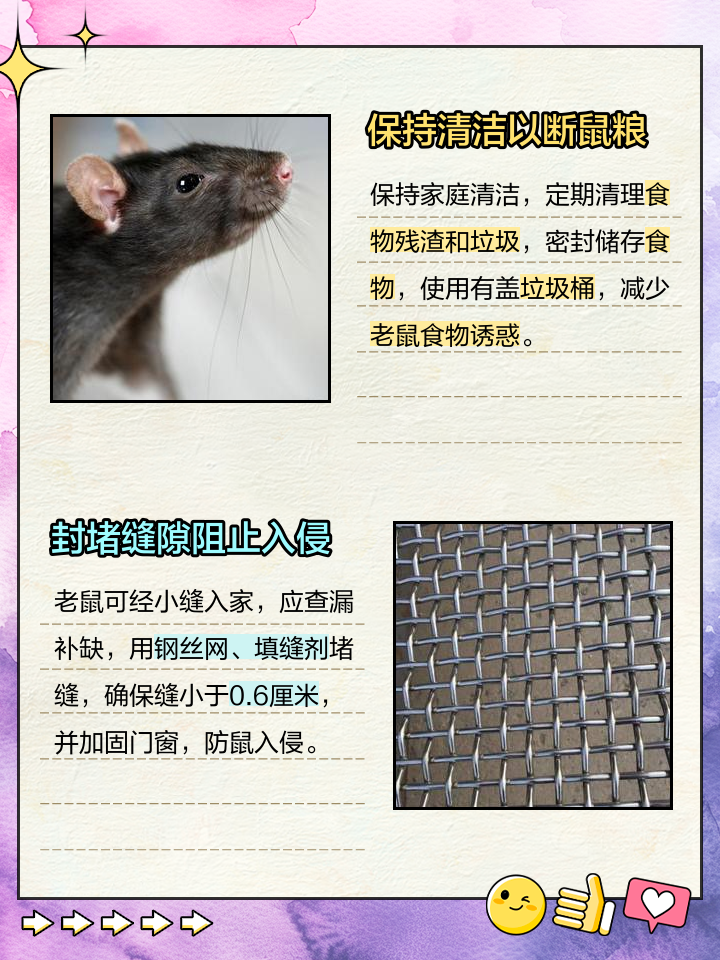 卧室进老鼠了怎么清洁