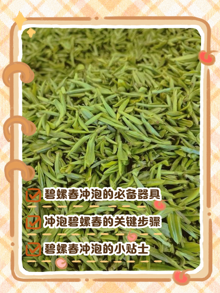 碧螺春正确泡法和饮用