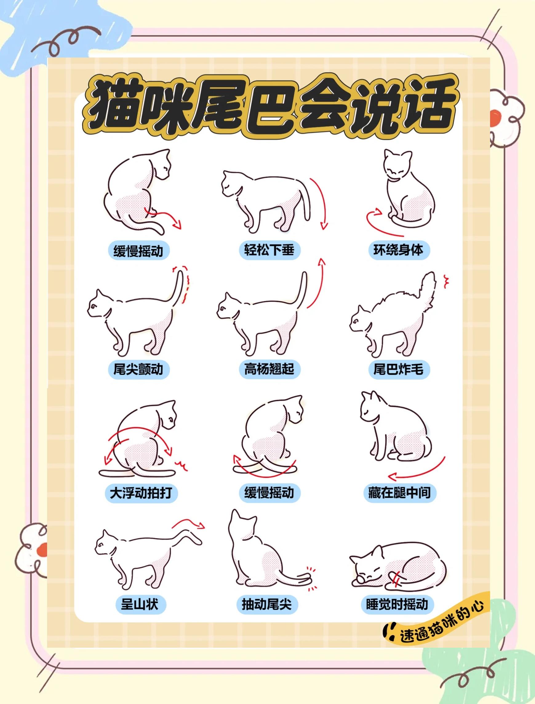 不同动物尾巴的作用有哪些