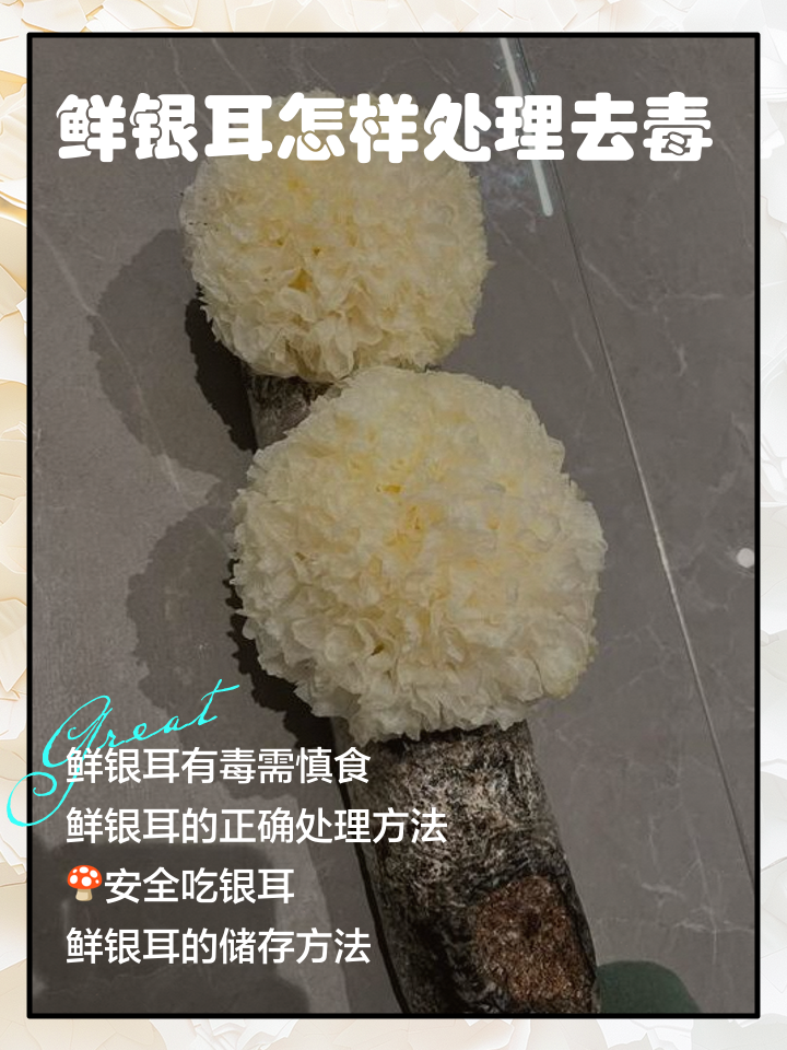 新鲜银耳怎样保存才能长久