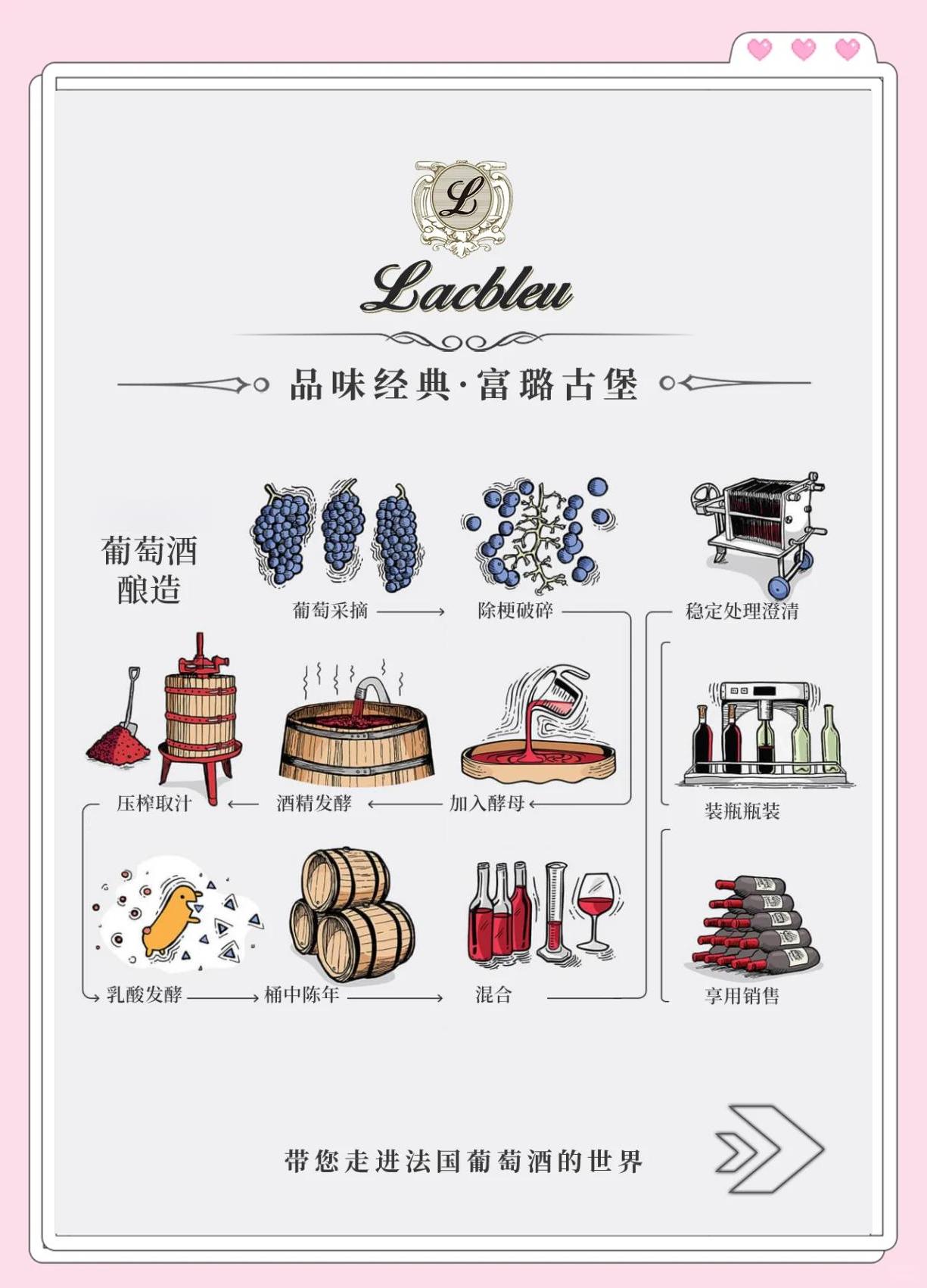 葡萄酒的酿制方法步骤视频