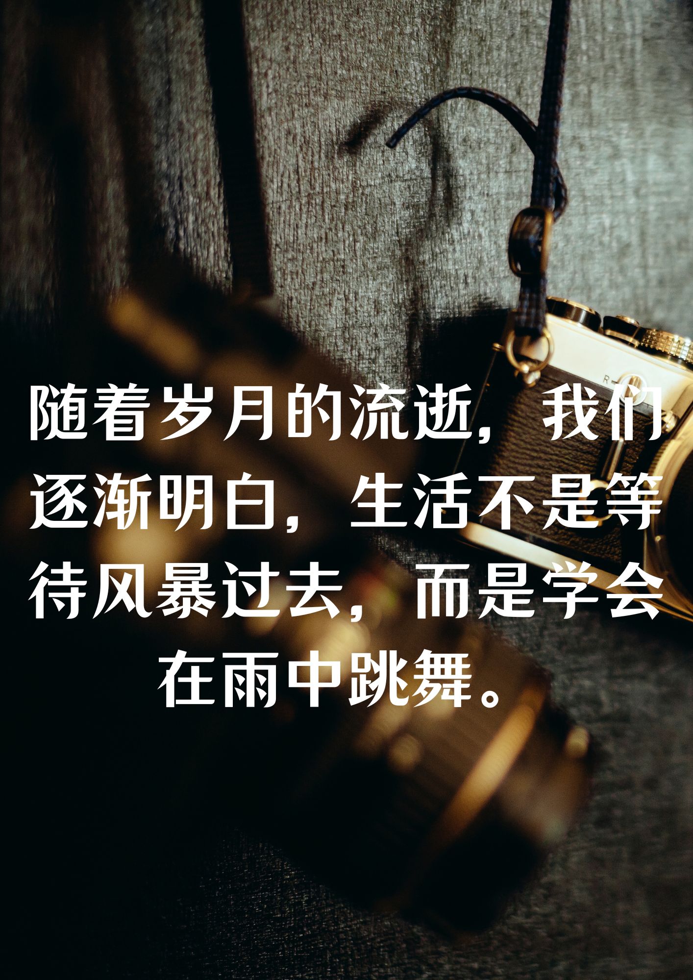 过去的一年感慨简短说说