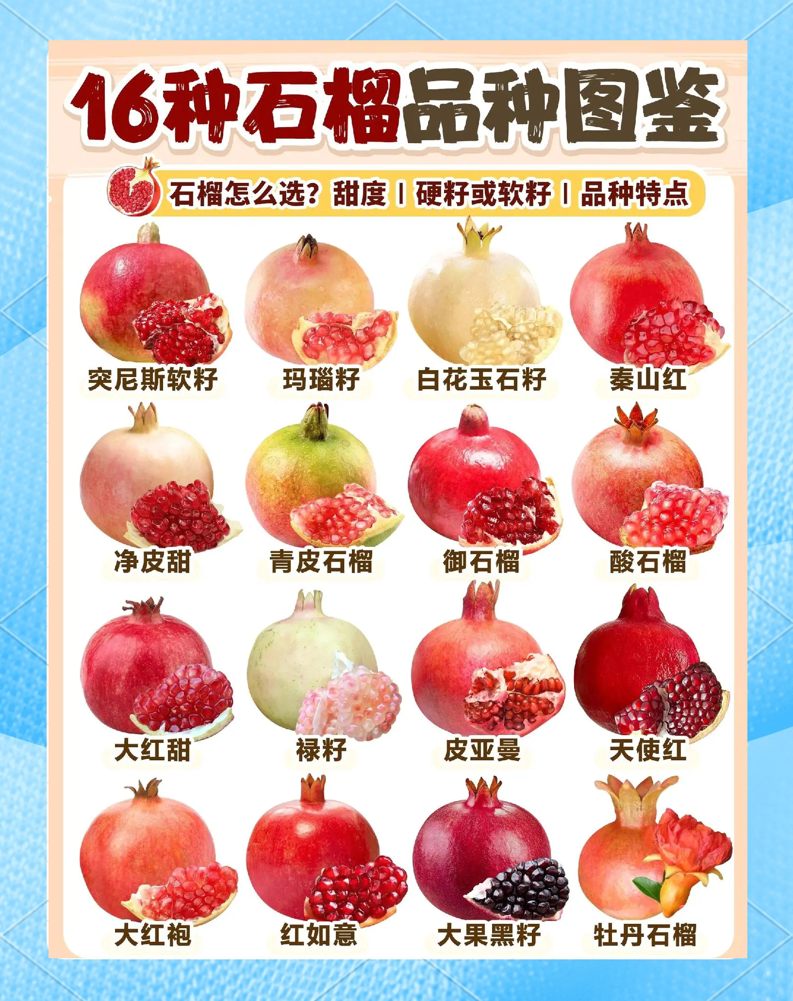 石榴之乡的简介怎么写