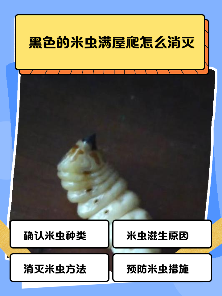 米长黑虫了有什么办法可以解决