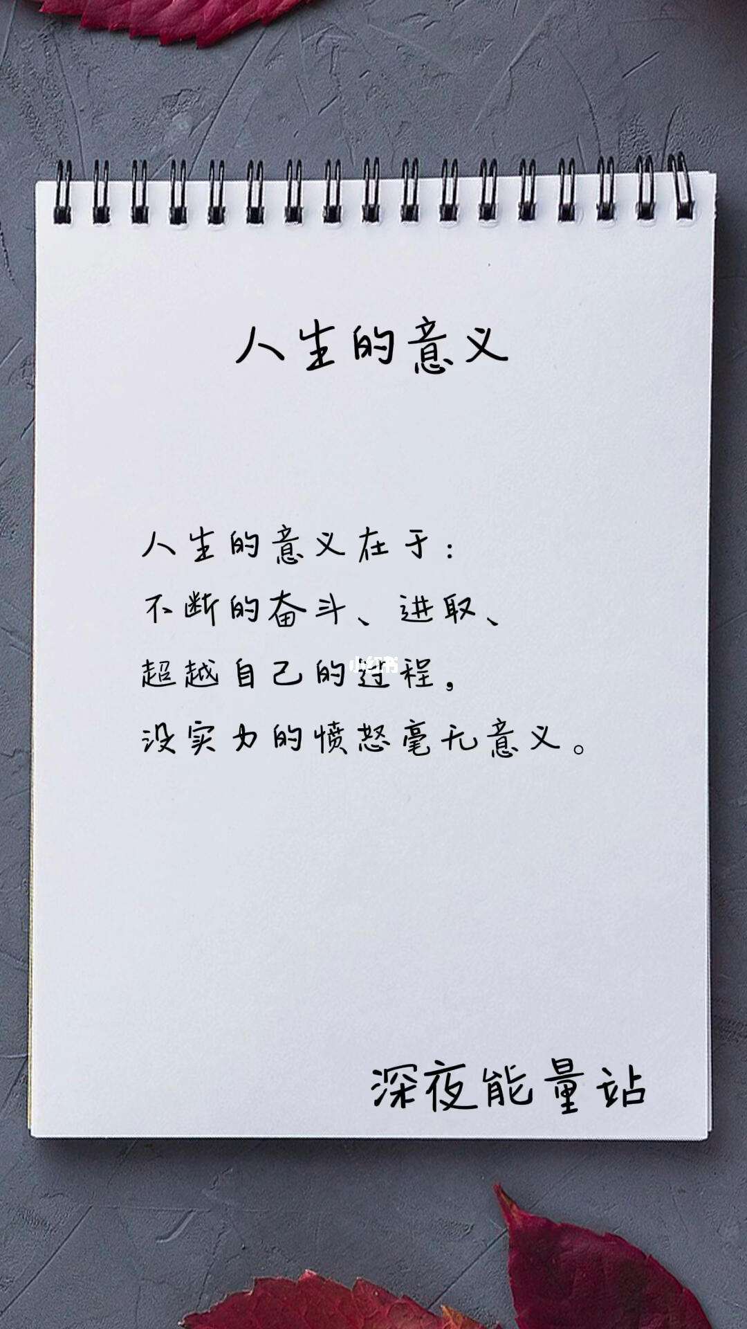 人生的意义最好的答案