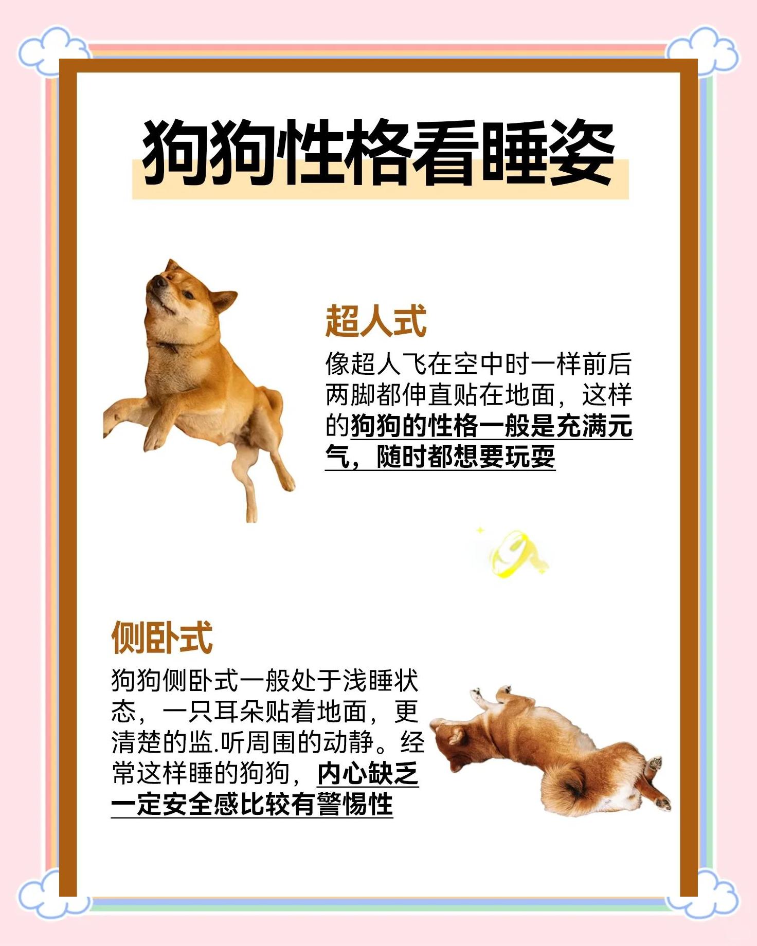 狗狗每天的睡眠时间是多少个小时