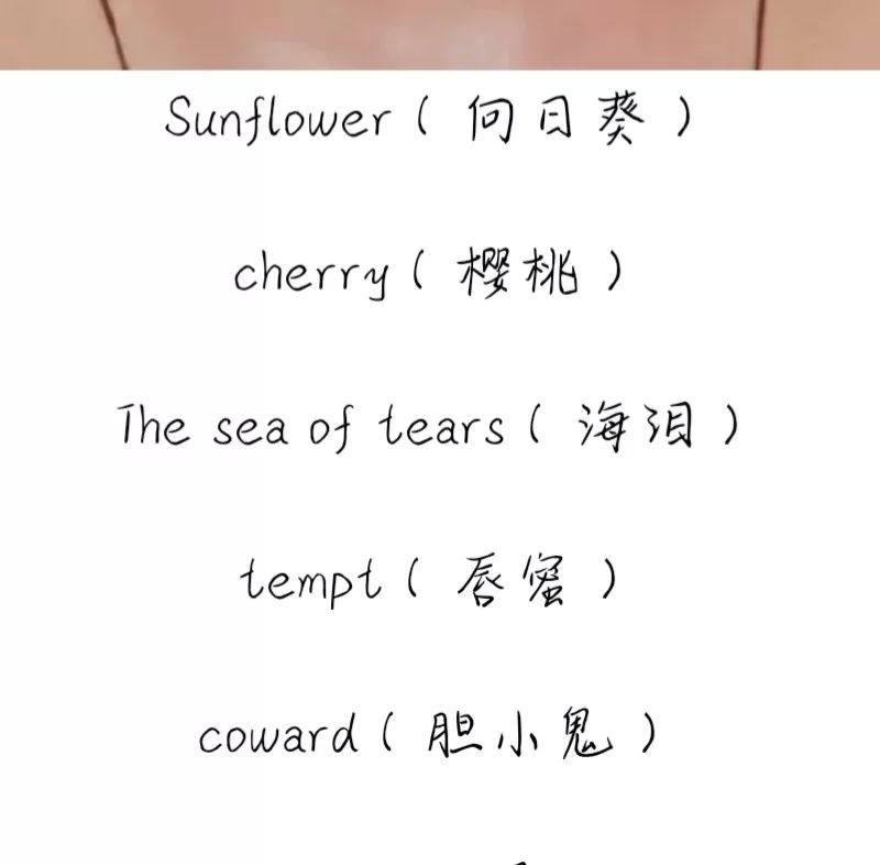有特殊含义的英文网名和寓意