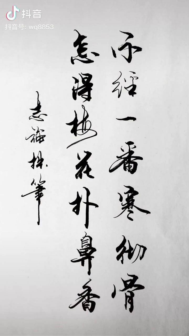 不是一番寒彻骨怎得梅花扑鼻香的意思