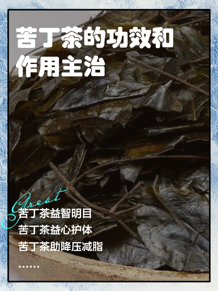 侧柏,桑叶,苦丁能治白发吗