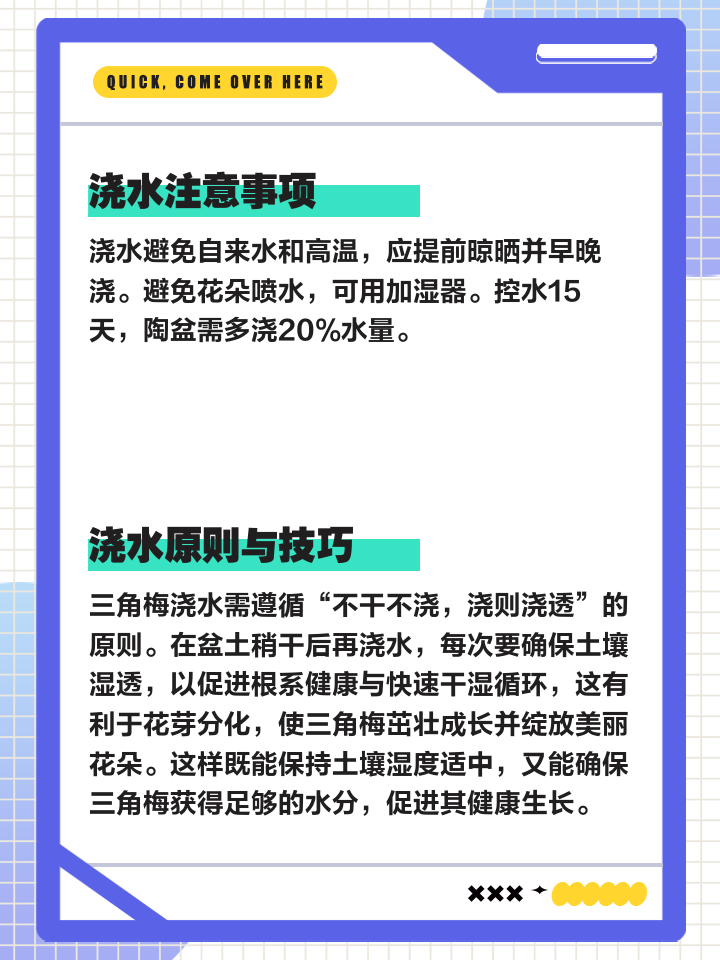 植物浇水的方法有哪些