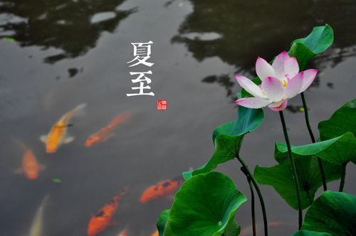 2025年9月11日 第28页