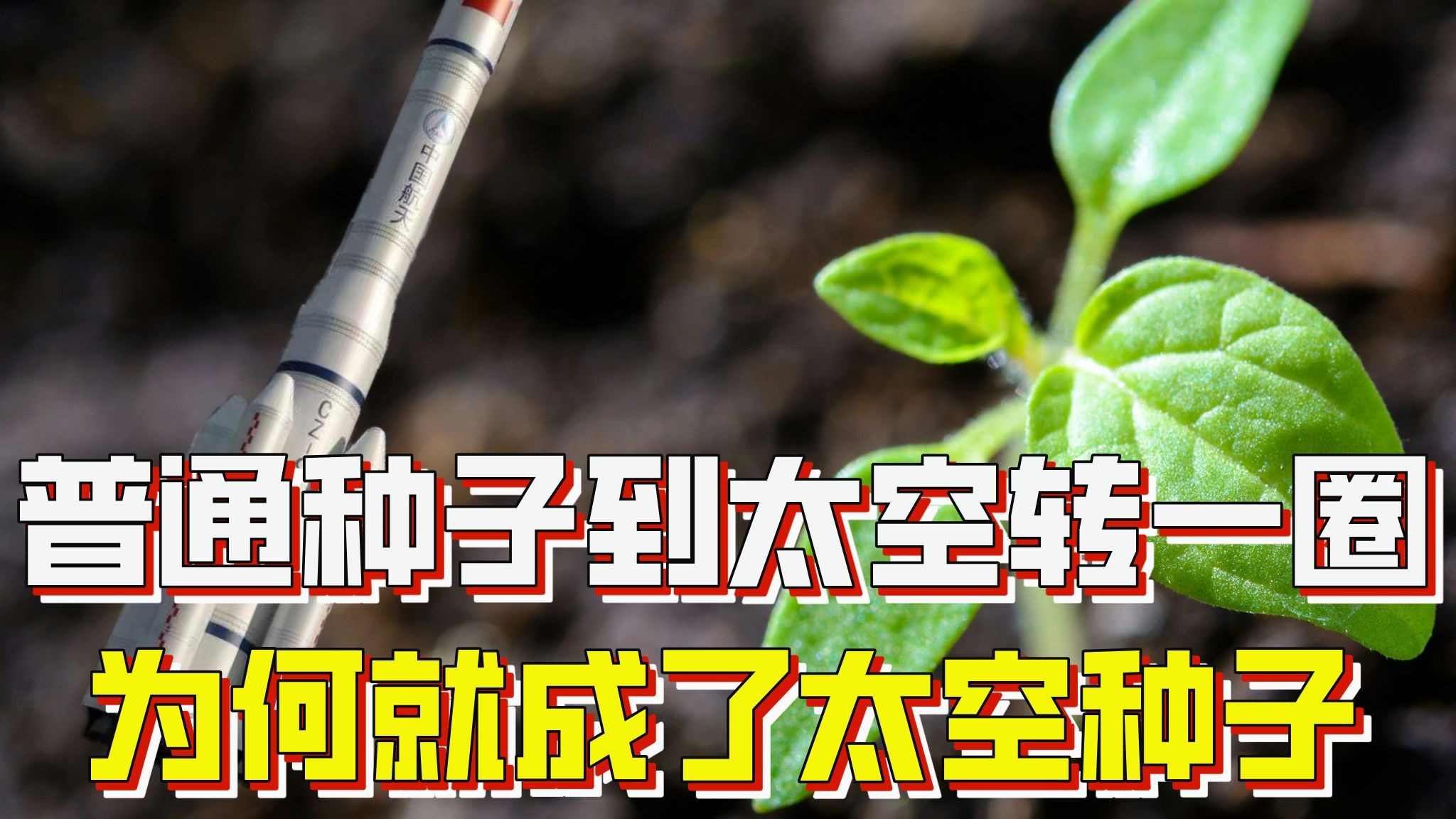 太空种子的原理和过程