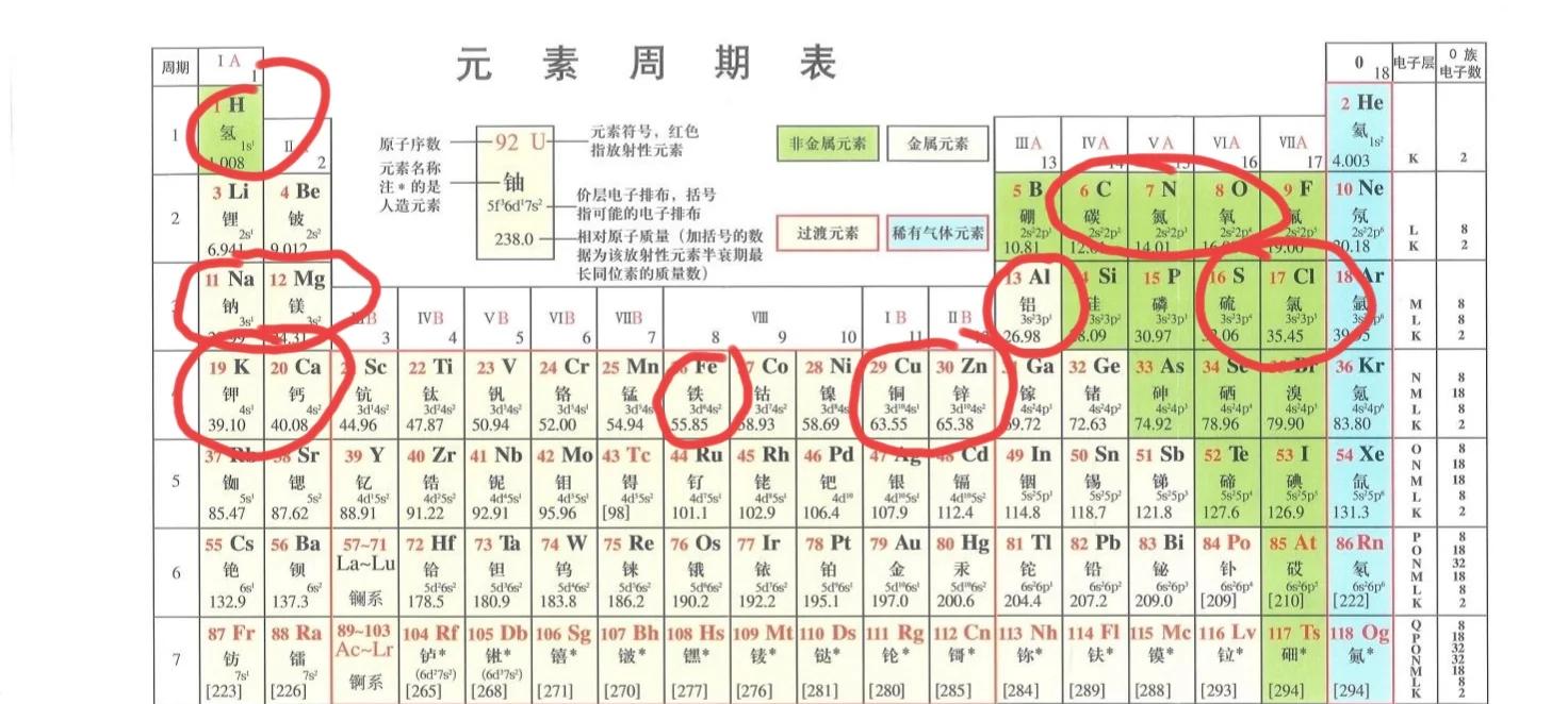 元素周期表快速记忆法 带拼音