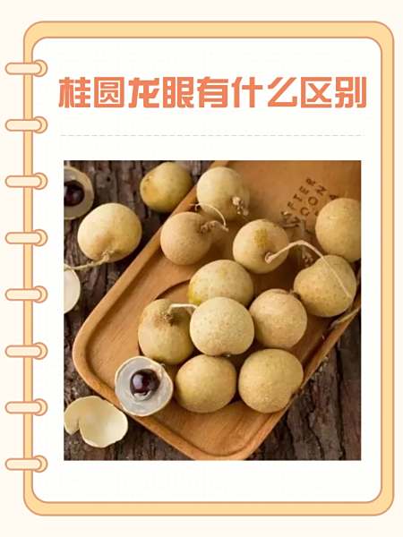 桂圆龙眼的区别在哪里