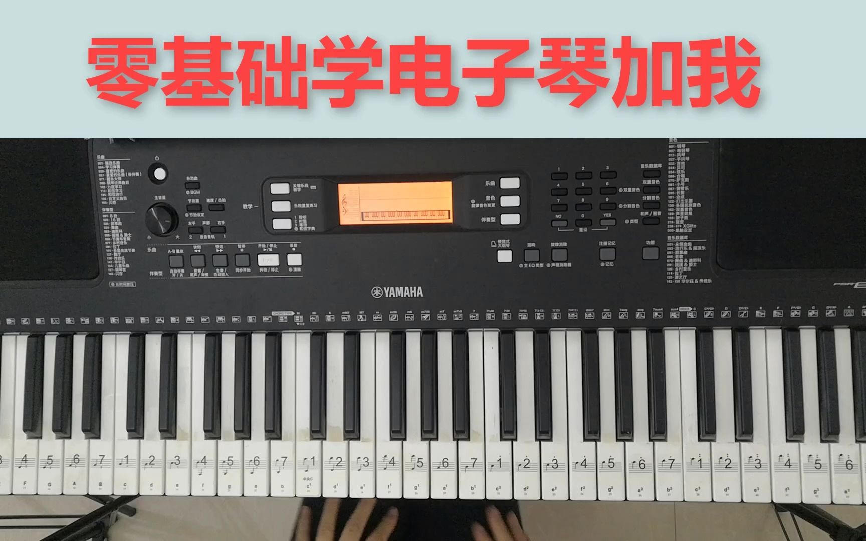 电子琴琴键键盘键位图