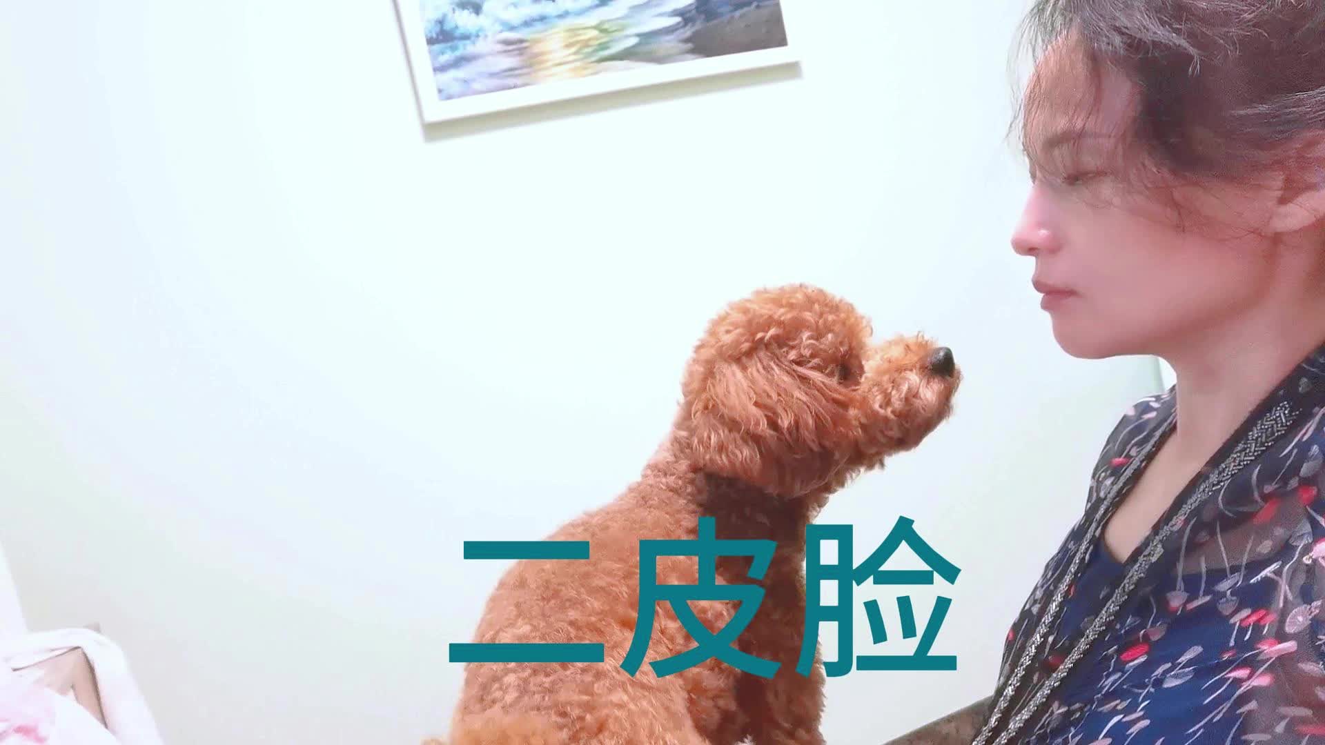 二皮脸是啥意思