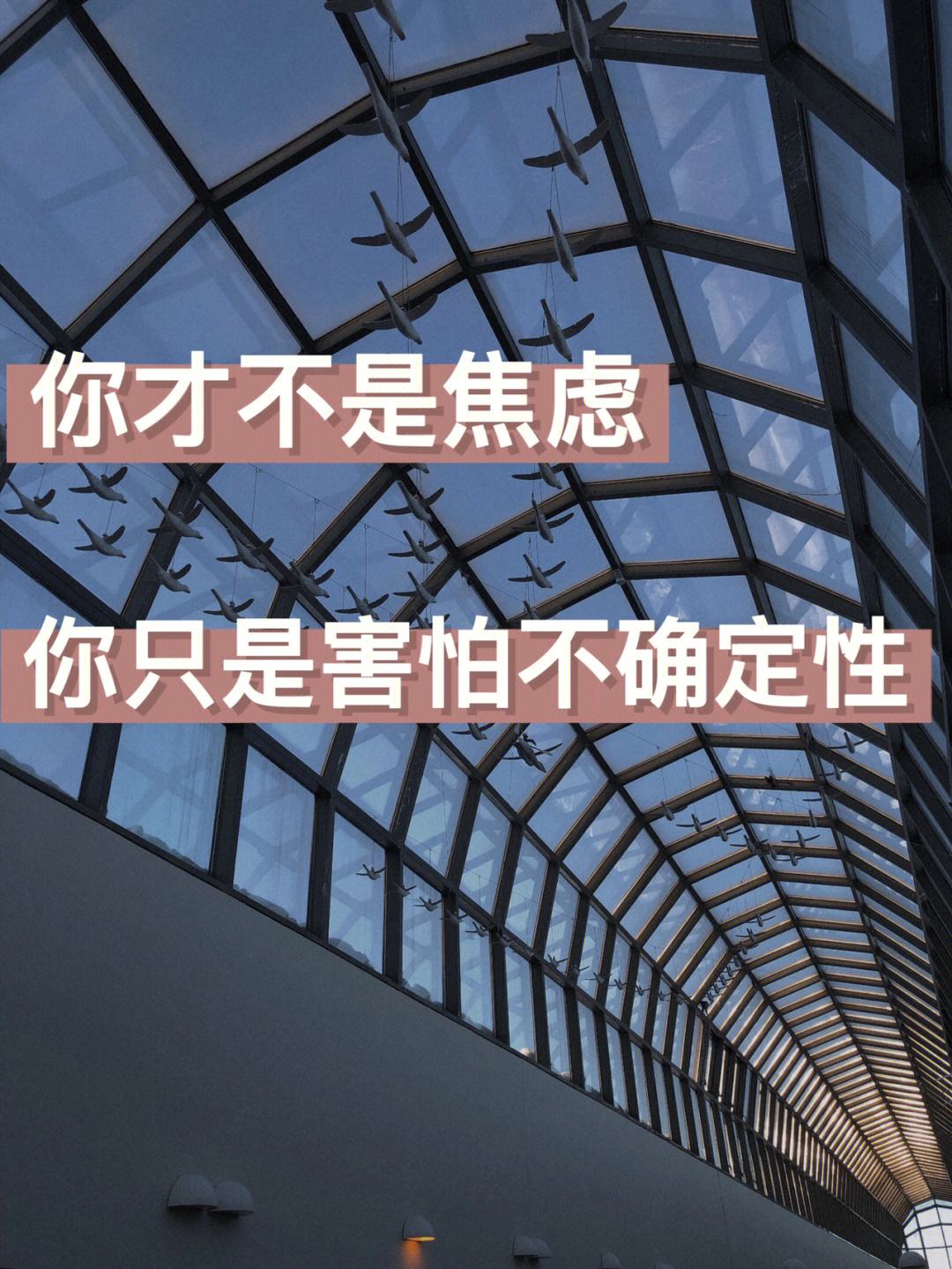 2025年9月14日 第12页