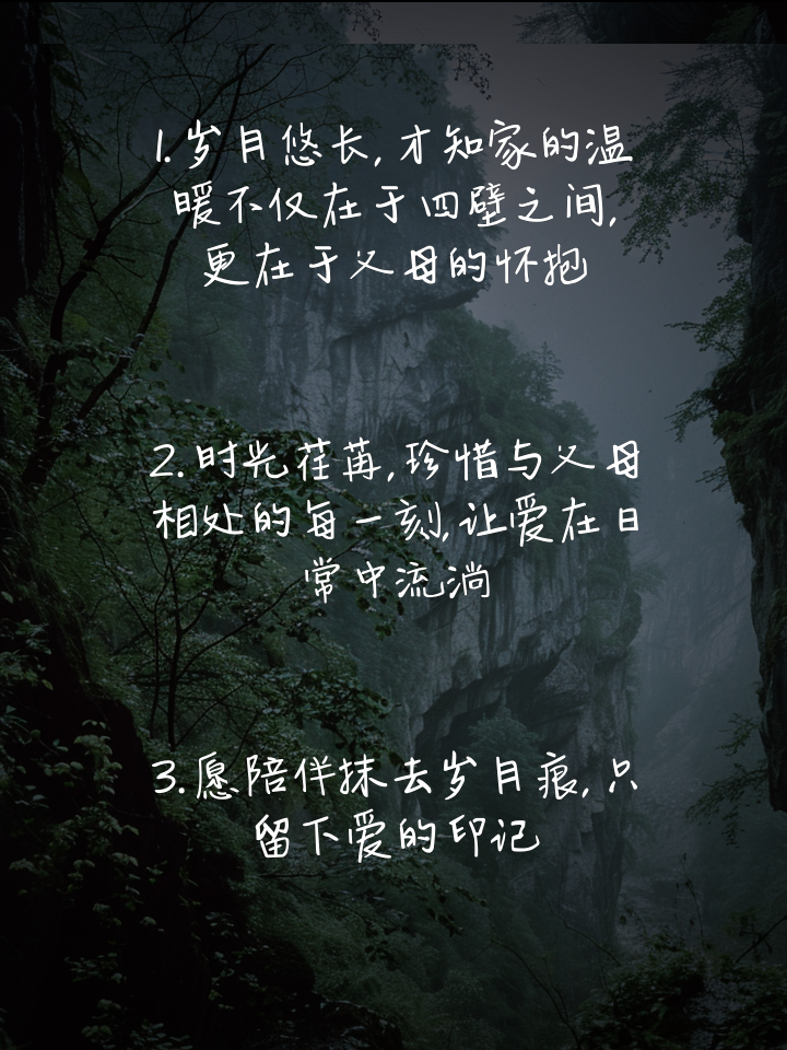 陪伴父母的唯美句子朋友圈