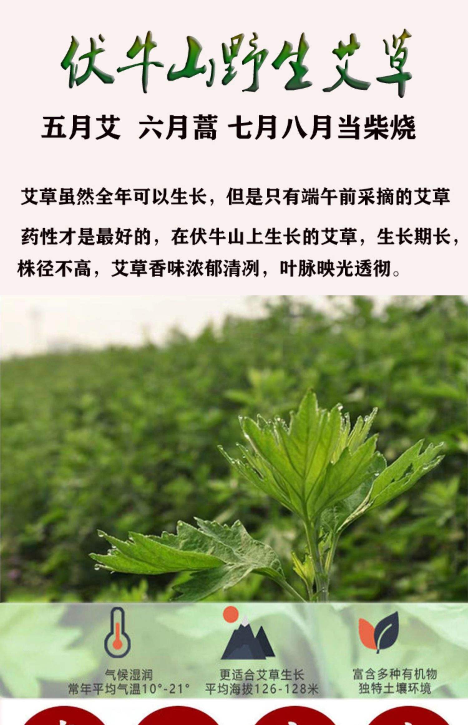 2025年9月16日 第4页