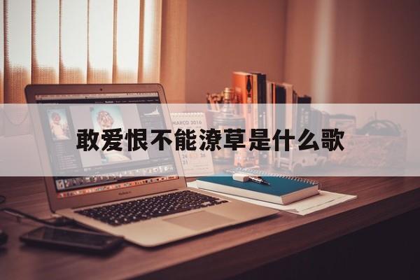 敢爱不敢恨是什么歌歌词是什么意思